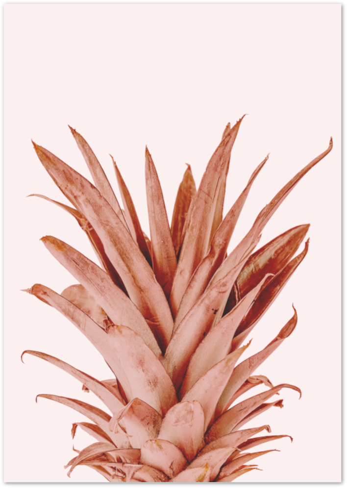 Posterux© | Pink Botanical Pineapple Poster - Tropical Wall Art Print poster – premium wall art