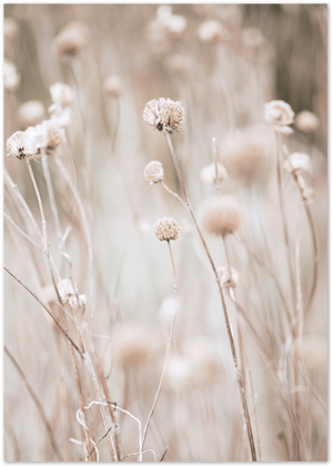 Posterux© | Soft Floral Grass Poster - Warm Beige Nature Print poster – premium wall art
