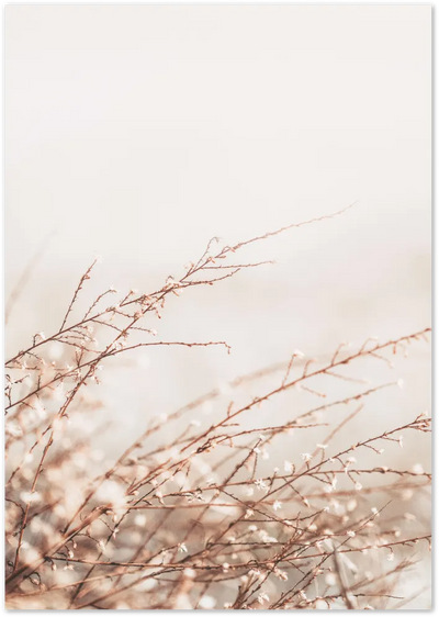 Posterux© | Wind & Grass Poster - Soft Beige Nature Print poster – premium wall art