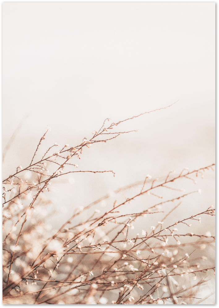 Posterux© | Wind & Grass Poster - Soft Beige Nature Print poster – premium wall art