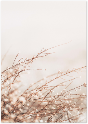Posterux© | Wind & Grass Poster - Soft Beige Nature Print poster – premium wall art