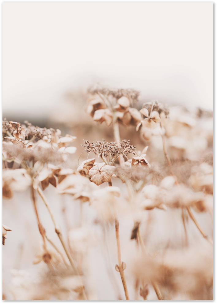 Posterux© | Golden Grass Nature Poster - Warm & Serene Wall Art poster – premium wall art