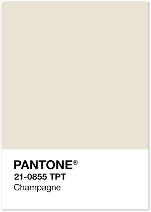 Posterux© | Pantone Champagne – Minimalist Color Swatch Poster poster – premium wall art