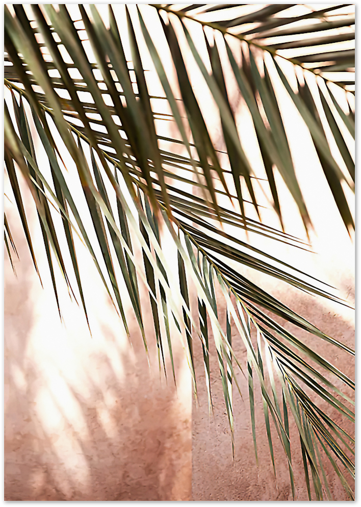 Posterux© | Palm Leaves in Warm Light – Botanical Photography Poster poster – premium wall art
