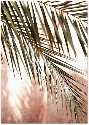 Posterux© | Palm Leaves in Warm Light – Botanical Photography Poster poster – premium wall art