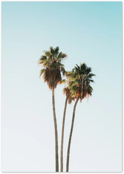 Posterux© | Twin Palm Trees – Coastal Minimalist Photography Poster poster – premium wall art