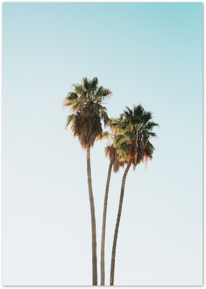 Posterux© | Twin Palm Trees – Coastal Minimalist Photography Poster poster – premium wall art