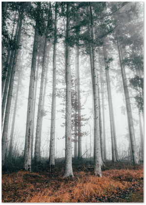 Posterux© | Enchanted Forest – Misty Trees Landscape Poster poster – premium wall art
