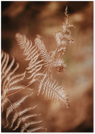 Posterux© | Rustic Fern – Warm Botanical Poster poster – premium wall art