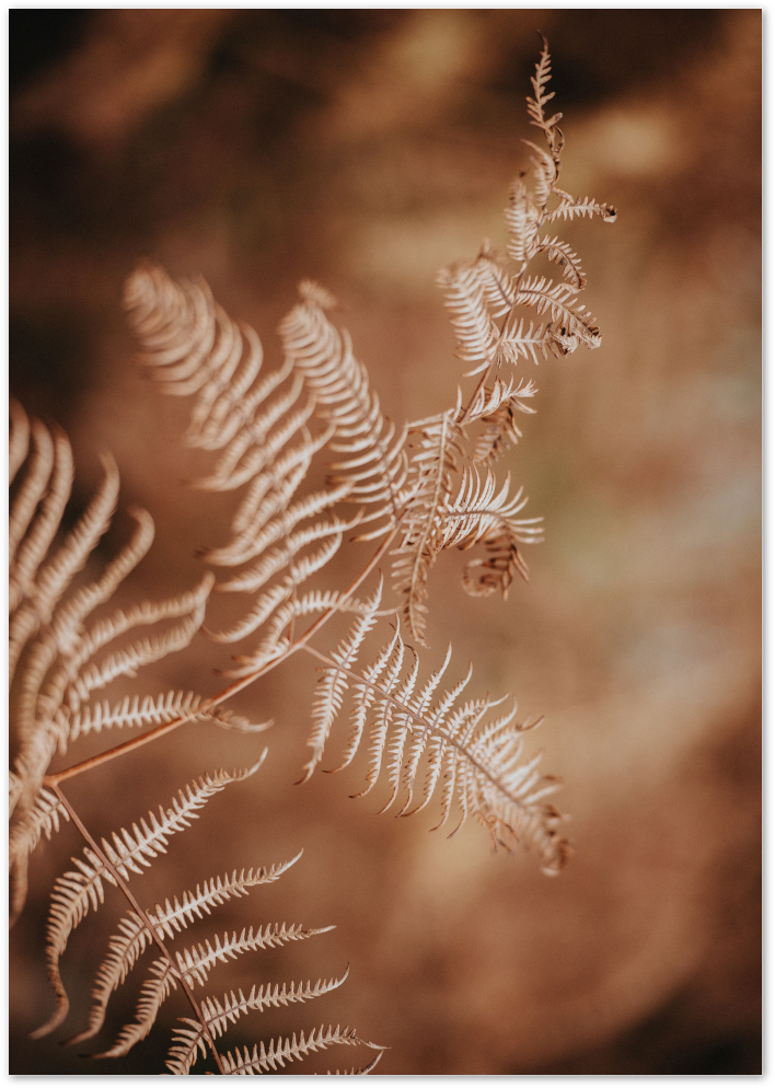 Posterux© | Rustic Fern – Warm Botanical Poster poster – premium wall art
