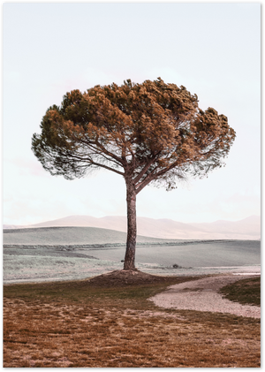 Posterux© | Solitary Tree – Serene Nature Poster poster – premium wall art