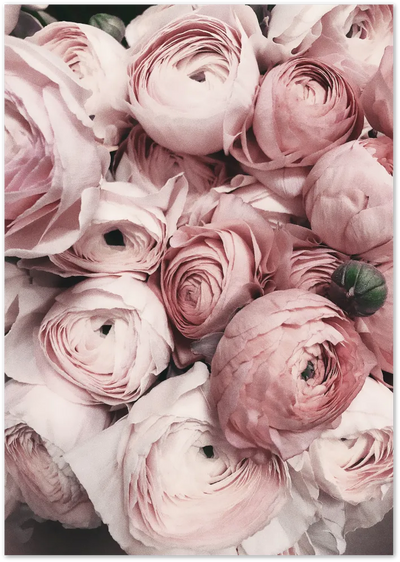 Posterux© | Peony Bloom – Vintage Floral Art Poster poster – premium wall art