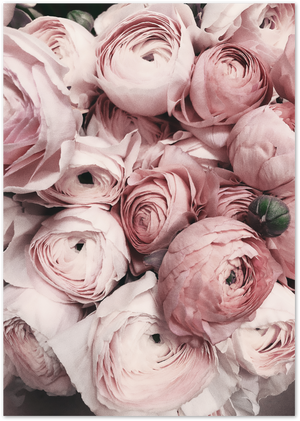 Posterux© | Parisian Bloom Gallery Wall – Set of 6 Framed Posters poster – premium wall art premium poster by Posterux