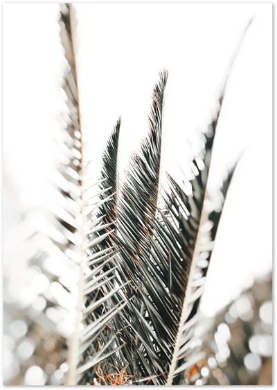 Posterux© | Palm Leaves – Minimalist Tropical Poster poster – premium wall art