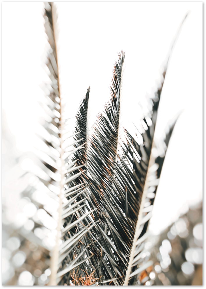 Posterux© | Palm Leaves – Minimalist Tropical Poster poster – premium wall art