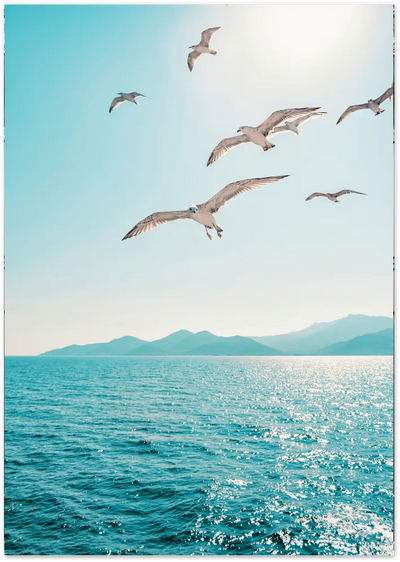 Posterux© | Seagulls Over the Ocean – Nature Photography Poster poster – premium wall art
