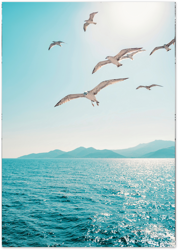 Posterux© | Seagulls Over the Ocean – Nature Photography Poster poster – premium wall art