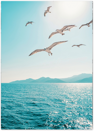 Posterux© | Seagulls Over the Ocean – Nature Photography Poster poster – premium wall art