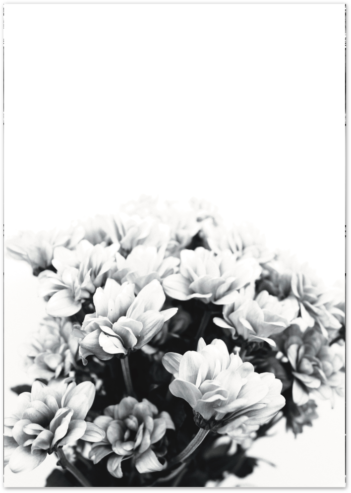 Posterux© | Black & White Floral – Minimalist Nature Poster poster – premium wall art