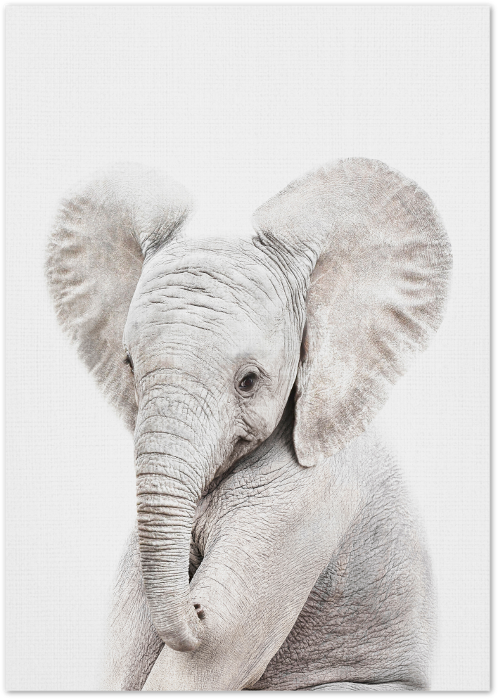 Posterux© | Baby Elephant – Minimalist Animal Poster poster – premium wall art