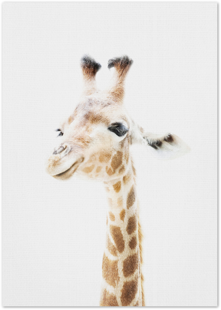 Posterux© | Baby Giraffe – Minimalist Animal Poster poster – premium wall art