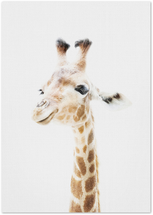 Posterux© | Baby Giraffe – Minimalist Animal Poster poster – premium wall art