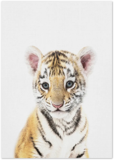 Posterux© | Baby Tiger – Bold Wildlife Poster poster – premium wall art