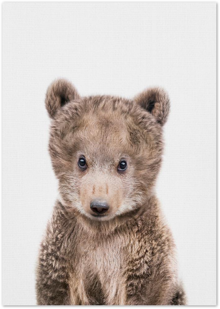 Posterux© | Baby Bear – Cozy Animal Poster poster – premium wall art
