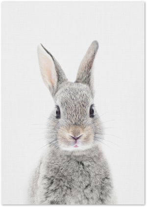 Posterux© | Baby Rabbit – Soft & Minimalist Poster poster – premium wall art