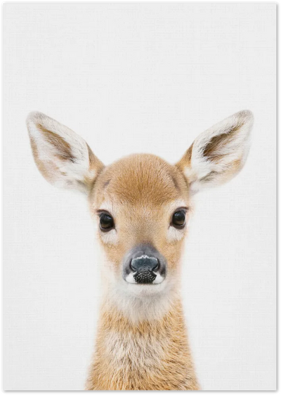 Posterux© | Baby Deer – Gentle Wildlife Poster poster – premium wall art