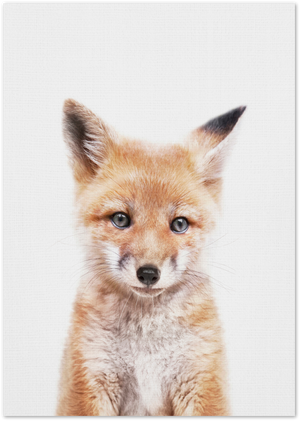 Posterux© | Baby Fox – Whimsical Forest Animal Poster poster – premium wall art