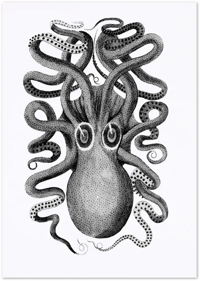 Posterux© | Octopus Vintage Scientific Poster – Intricate Marine Illustration poster – premium wall art