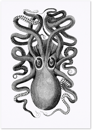 Posterux© | Octopus Vintage Scientific Poster – Intricate Marine Illustration poster – premium wall art