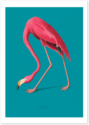 Posterux© | Vintage Flamingo Poster – Audubon Inspired Ornithology Art poster – premium wall art