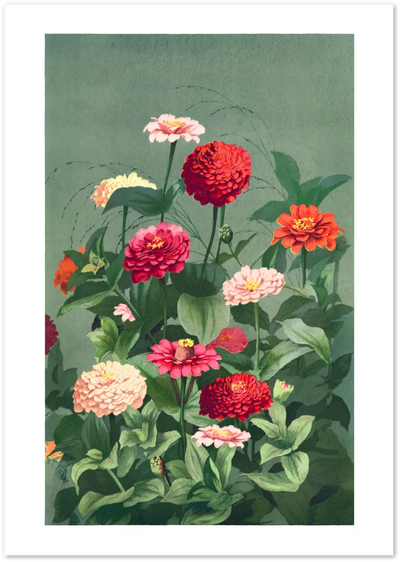 Posterux© | Zinnia Botanical Poster – Vintage Garden Flower Wall Art poster – premium wall art