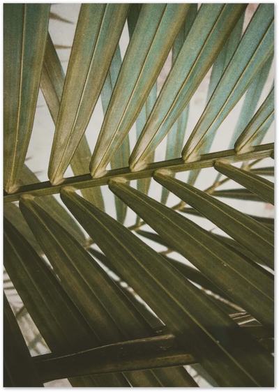 Posterux© | Tropical Leaf Close-Up – Nature-Inspired Poster poster – premium wall art