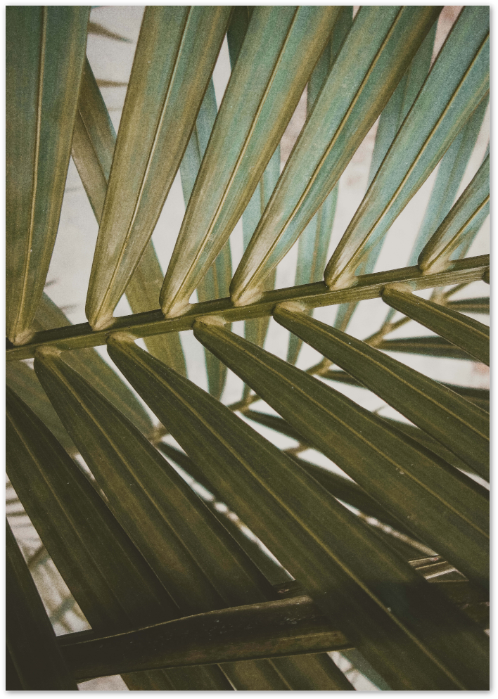 Posterux© | Tropical Leaf Close-Up – Nature-Inspired Poster poster – premium wall art