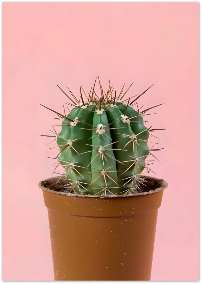 Posterux© | Cute Cactus Poster – Minimal Botanical Art on Pink poster – premium wall art