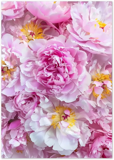 Posterux© | Bloom Explosion Poster – Romantic Peony Flower Print poster – premium wall art