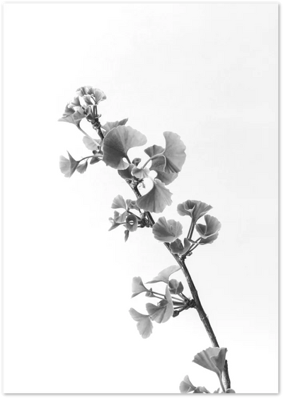 Posterux© | Ginkgo Elegance – Black & White Botanical Poster poster – premium wall art