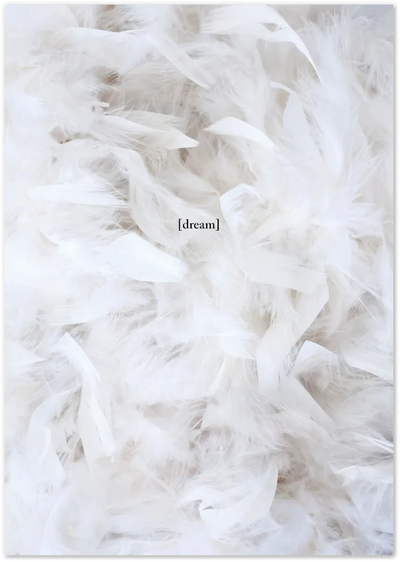 Posterux© | Dream Soft – White Feather Aesthetic Poster poster – premium wall art
