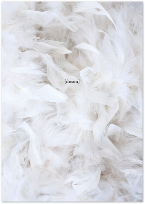 Posterux© | Dream Soft – White Feather Aesthetic Poster poster – premium wall art