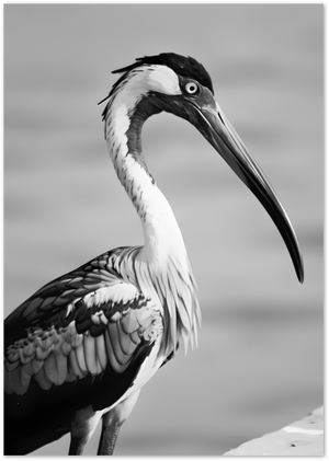 Posterux© | Stylish Heron – Elegant Black and White Poster poster – premium wall art