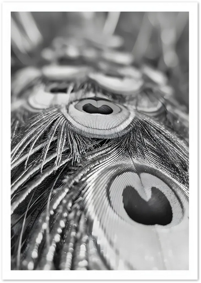 Posterux© | Peacock Detail Poster – Monochrome Feather Study poster – premium wall art