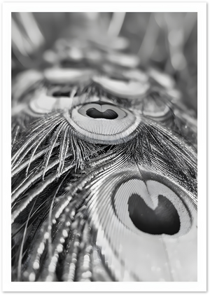 Posterux© | Peacock Detail Poster – Monochrome Feather Study poster – premium wall art