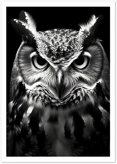 Posterux© | Staring Owl Poster – Intense Nocturnal Gaze poster – premium wall art