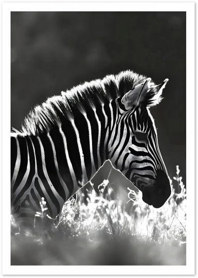 Posterux© | Zebra Close-Up Poster – Black & White Wildlife Art poster – premium wall art
