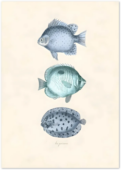 Posterux© | Les Poissons Poster – Vintage Fish Illustration poster – premium wall art