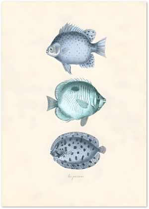 Posterux© | Les Poissons Poster – Vintage Fish Illustration poster – premium wall art