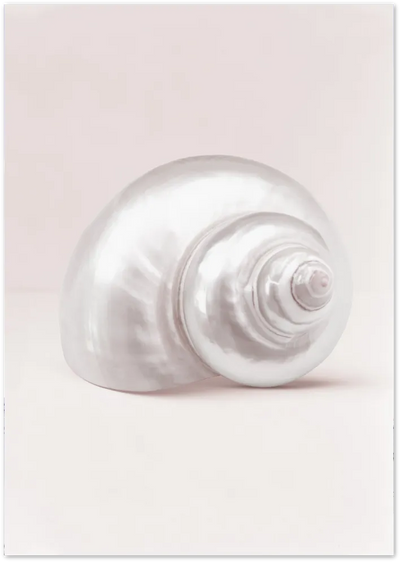 Posterux© | Nautilus Spiral – Minimalist Shell Photography Poster poster – premium wall art
